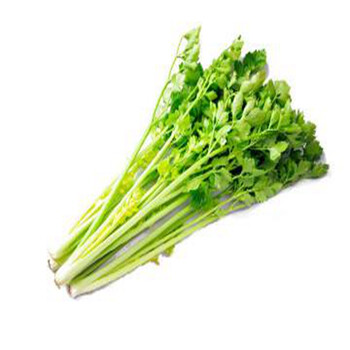 麦芹 净重500g 一斤起订