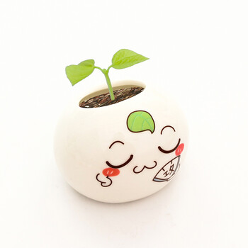 创意家居可爱卡通表情植物种植办公室桌面微景观迷你负离子 相思豆