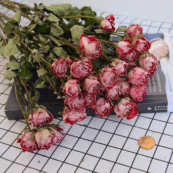 蔷薇花干花 多头小玫瑰干花花束云南天然真花玫瑰花家居装饰插花 惊艳