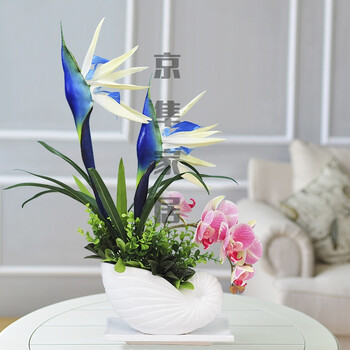 京隼家居蝴蝶兰仿真花盆景套装塑料花假花绢花客厅电视柜餐桌盆栽装饰