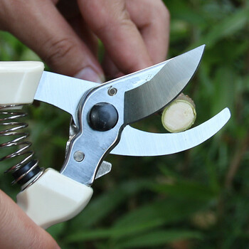 果枝 树枝剪 园林剪修枝剪园艺修树剪130型 白色