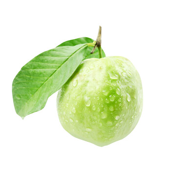 十记庄园 广东番石榴 5斤 芭乐果 新鲜水果 珍珠石榴 2.5kg【图片 价格 品牌 报价】-京东