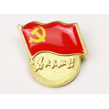 100个标准型党徽中组部为人民服务胸徽别针式大号扣