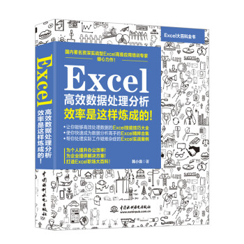 Excel高效数据处理分析教程 效率是这样炼成的 韩小良 摘要书评试读 京东图书