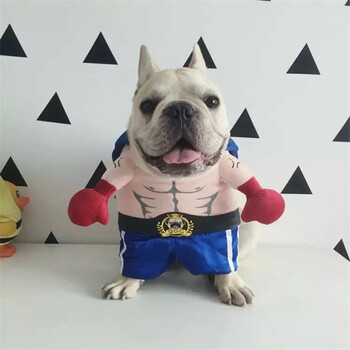 抖音狗狗衣服同款 法斗巴哥衣服搞怪娱乐搞笑衣服狗狗猫咪变身装 拳击