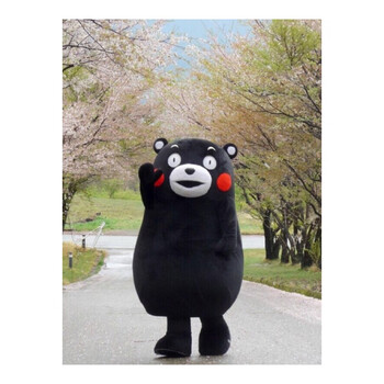 布朗熊卡通人偶服装 行走装 抖音同款发传单小熊装m11 熊本熊 155-169