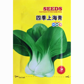 蔬菜种子 四季上海青种子 小油菜种子小白菜种子青菜种籽耐热耐寒可以庭院阳台盆栽种植 15克/包