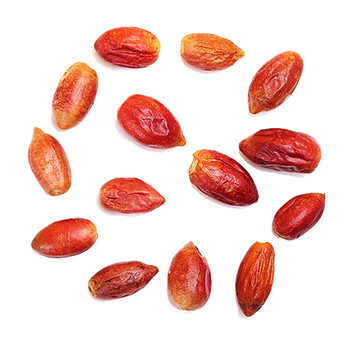 二唤姐 神秘果干果蜜拉圣果稀奇的水果干改变味觉让酸变甜神奇果实