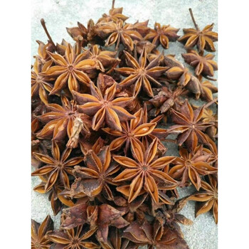 八角桂皮卤料香料大茴香500g