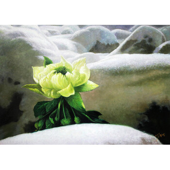 升价拍                          朝鲜画家金光烈《雪莲花》油画