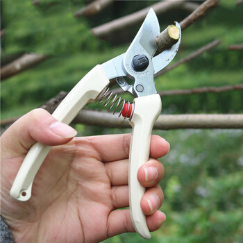 fghgf 爱丽丝修枝剪130dx ars枝剪 高端园艺剪 果树剪