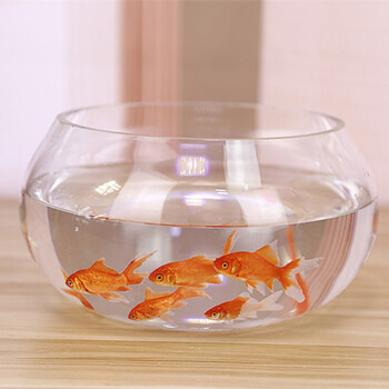 办公室小鱼缸 加厚透明玻璃创意客厅家用桌面圆形迷你小型金鱼缸 35号