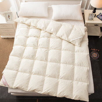 8米床护垫子 米白-鸭毛床垫 120x200cm(填充物重4斤总重5.6斤)