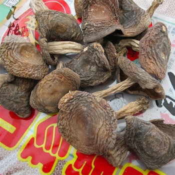 梨菇干货250g云南野生青面梨干来菇青头菌绿豆菌菇食用菌干货