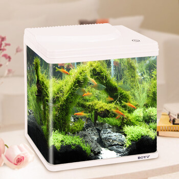 生态鱼缸水族箱温度液显小中型迷你玻璃金鱼缸