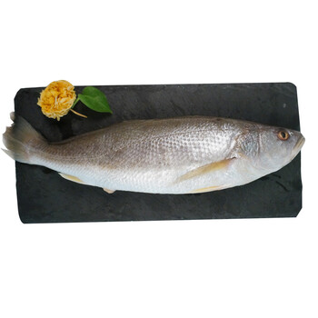 全球鲜 马来西亚野生白姑鱼 400g/袋 2条 海鲜年货