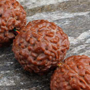 麦烽文玩 一物一拍 草莓籽龙鳞纹金刚菩提手持念珠18mm