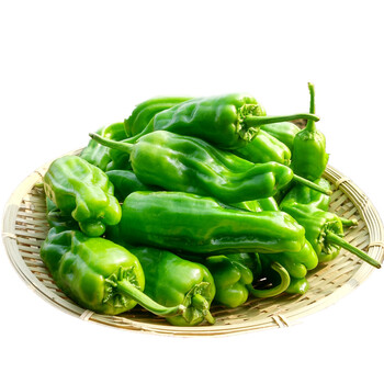 湖北青椒薄皮椒皱皮菜辣椒芜湖椒虎皮椒新鲜蔬菜15kg