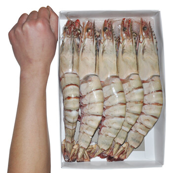 聚鲜品 缅甸进口冷冻红虎虾 大对虾 1kg 10只装 长20cm