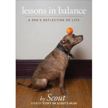 Lessons in Balance: A Dog's Reflections on Life