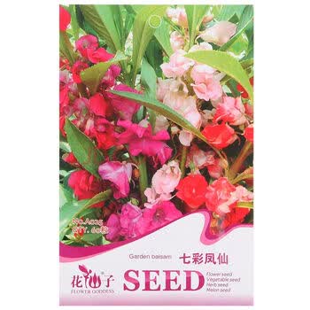 草花种子：播种美好春天的到来