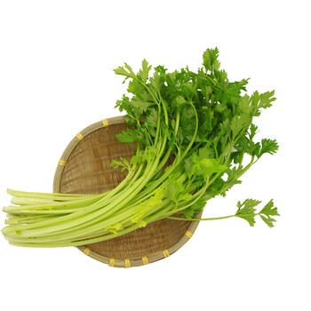 京百味 云南香芹 750g 简装 新鲜蔬菜