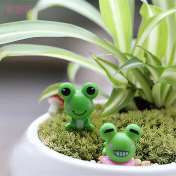 沃绣多肉植物装饰小摆件微景观配件小饰品多肉套餐手工diy材料小青蛙 款式随机 图片价格品牌报价 京东 沃绣多肉植物装饰小摆件微景观配件小饰品多肉套餐手工diy材料小青蛙 款式随机 图片价格品牌报价 京东