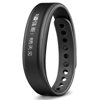 佳明（GARMIN）vivosmart  黑色大号 智能运动手环腕带 50米防水 计步器蓝牙 睡眠监测 震动提醒