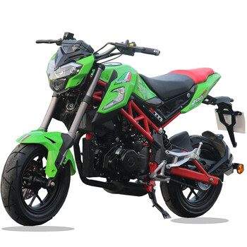 小暴龙摩托车200cc街车跑车怪兽燃油特技车迷你机车趴