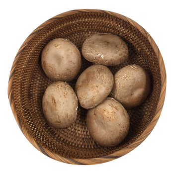 东源兴 咖啡菇 250g 新鲜蔬菜