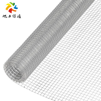 旭力 热镀锌铁丝网围栏窗户防鼠防护钢丝网鸽网鸡网养殖网家用电焊