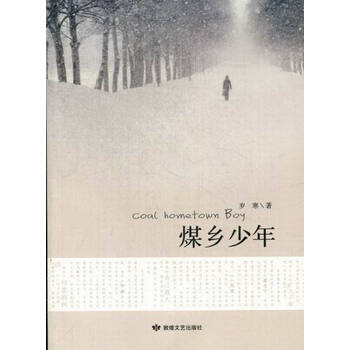 煤乡少年