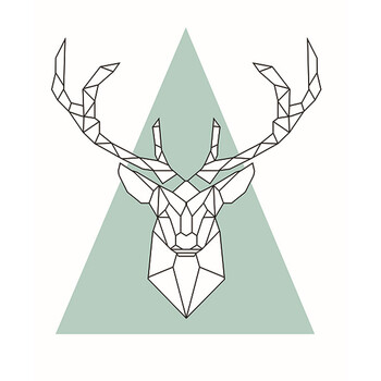 装饰画客厅卧室挂画鹿与鱼 创意照片墙 a 64*64