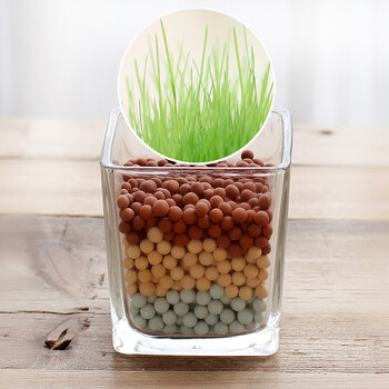 办公桌小盆栽迷你绿植负离子水培植物生态瓶可爱 晴思草