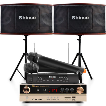 新科 (Shinco) LED-601 家庭影院KTV音响组合 家用会议蓝牙功放音箱支架套装（支架版）