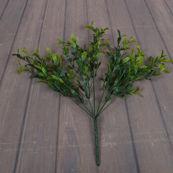 冷水花 绿植 园艺 工程 绿植墙 吊兰 装饰 dgw款翡翠草