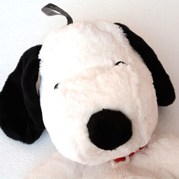 
                                        德国费许fashy snoopy 史努比儿童暖水袋 热水袋 6640  0.8升                