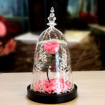 美女与野兽玫瑰花新款永生花玻璃罩送爱人女友生日七夕情人节礼物 梅