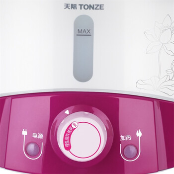 天际(TONZE)DGD22-22AWG电炖锅电炖盅2.2L 