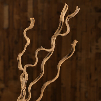 美学黑客 虬龙藤干藤条干花树藤干枝装饰花藤仿真花藤枯藤山藤条 宽3