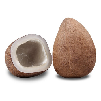 印度椰子皇白玉椰皇新鲜老椰子水果 2.5kg_ 8折现价198元