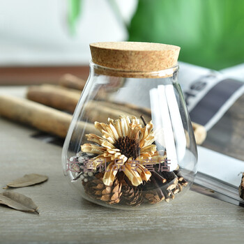杂货创意透明玻璃小瓶子储物罐子许愿瓶微景观装饰摆件 椭圆 干花1系