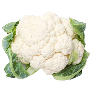 花菜2 5kg白花菜花椰菜椰菜花白洋花菜球花甘新鲜蔬菜产发 图片价格品牌报价 京东 花菜2 5kg白花菜花椰菜椰菜花白洋花菜球花甘新鲜蔬菜产发 图片价格品牌报价 京东