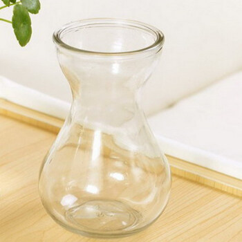 玻璃瓶 透明水培容器 水仙花瓶玻璃 水培瓶 插植物花瓶 透明 145*7
