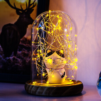 萤火虫玻璃瓶儿童节礼物送女生男生女朋友浪漫生日创意小礼品闺蜜