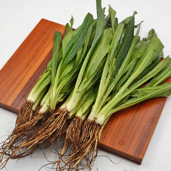 恬女神云南大香菜缅甸芫荽傣味大香菜1kg不带根京东生鲜蔬菜