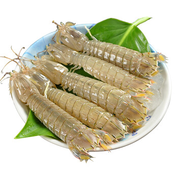 新鲜皮皮虾 鲜活海虾 虾爬子虾 姑螳虾 富贵虾 野生濑尿虾 2000g_ 2