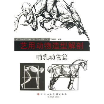 艺用动物造型解剖(哺乳动物篇) 王炳耀 正版书籍