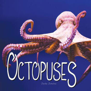 Octopus Pets: Your Aquatic Companion for the Curious Mind