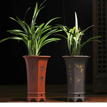 红色六方带底座高腰兰花盆紫砂特价多肉植物盆景花盆室内花盆 黑色款